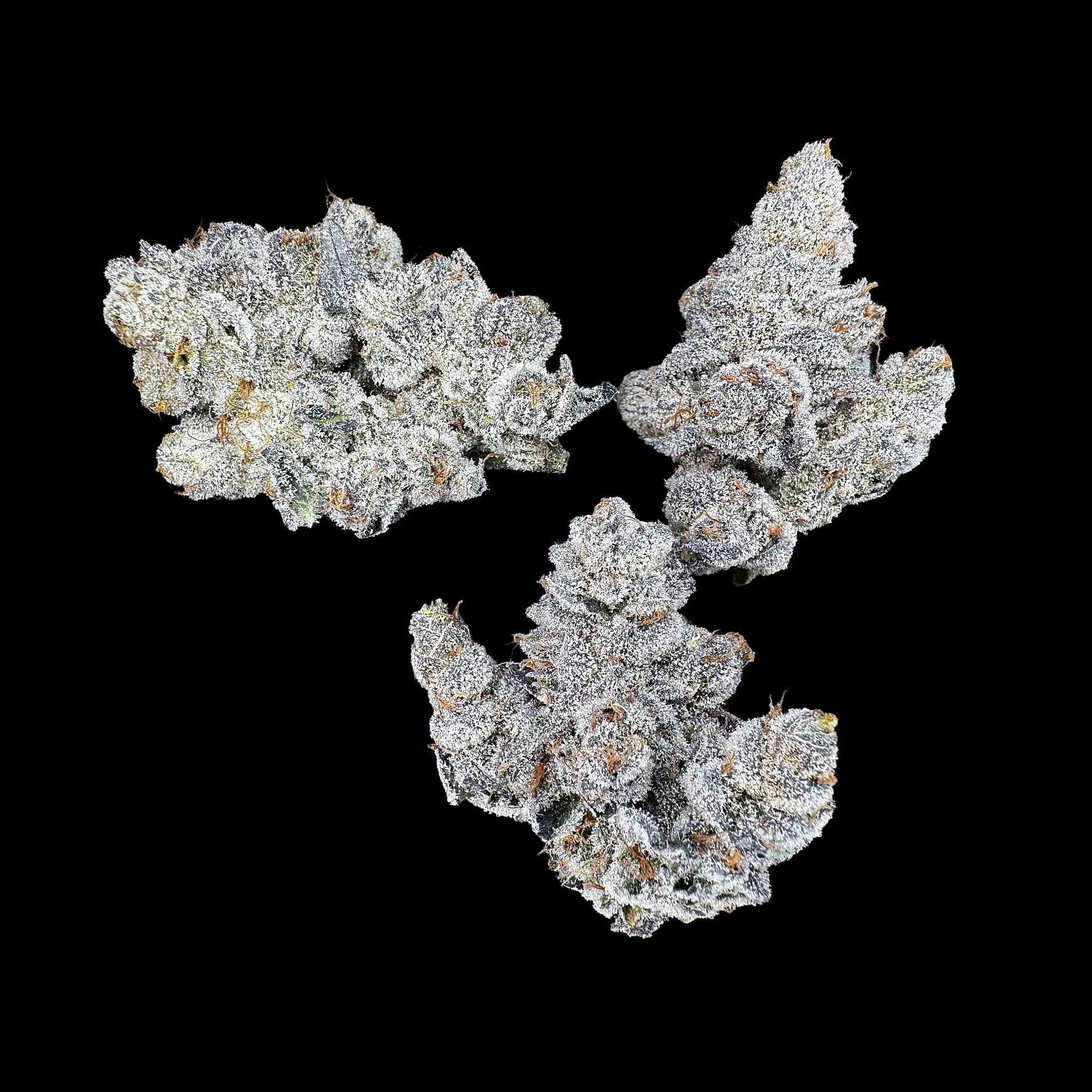Close up of three dried buds of Animal Tsunami strain high thca premium top shelf legal weed. Hemp flower with potent crystals and high terpenes on a black background. The smell is very loud enticing gas vapors in a pine forest