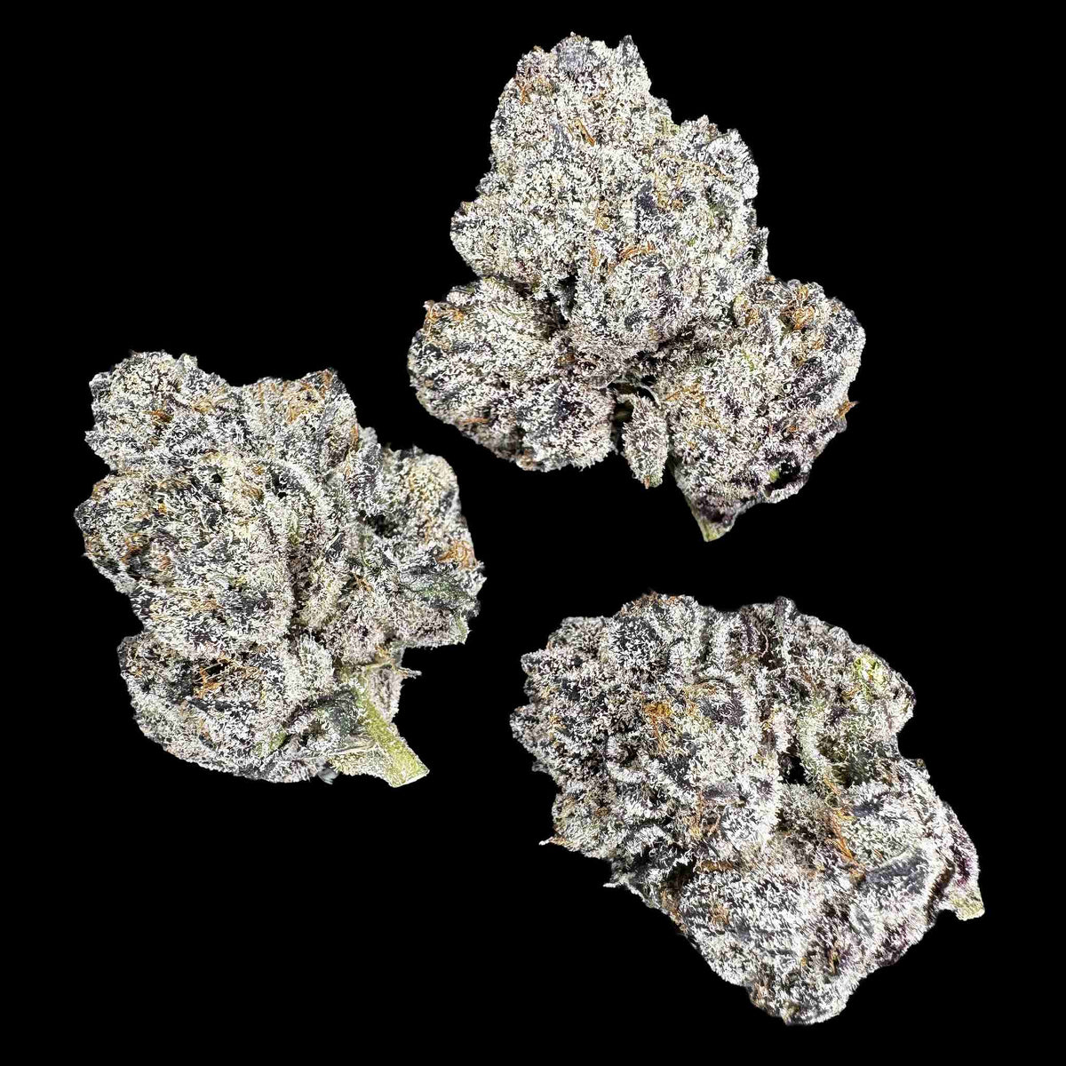 Black Ambrosia (Bulk)