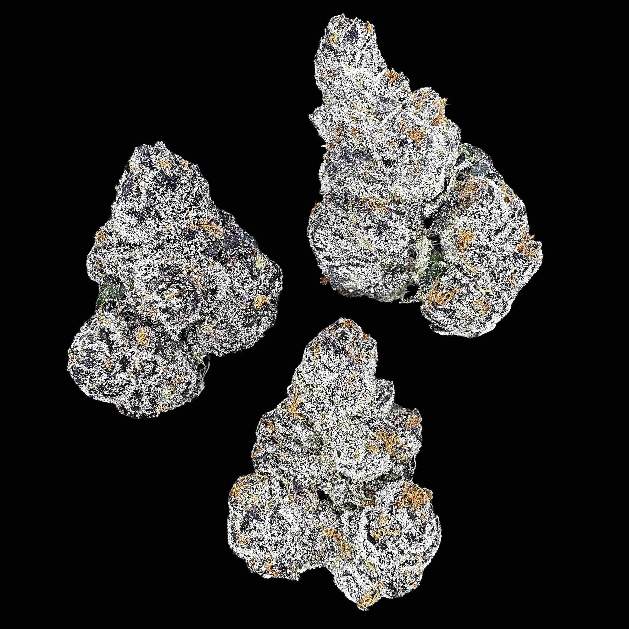 Black Ambrosia