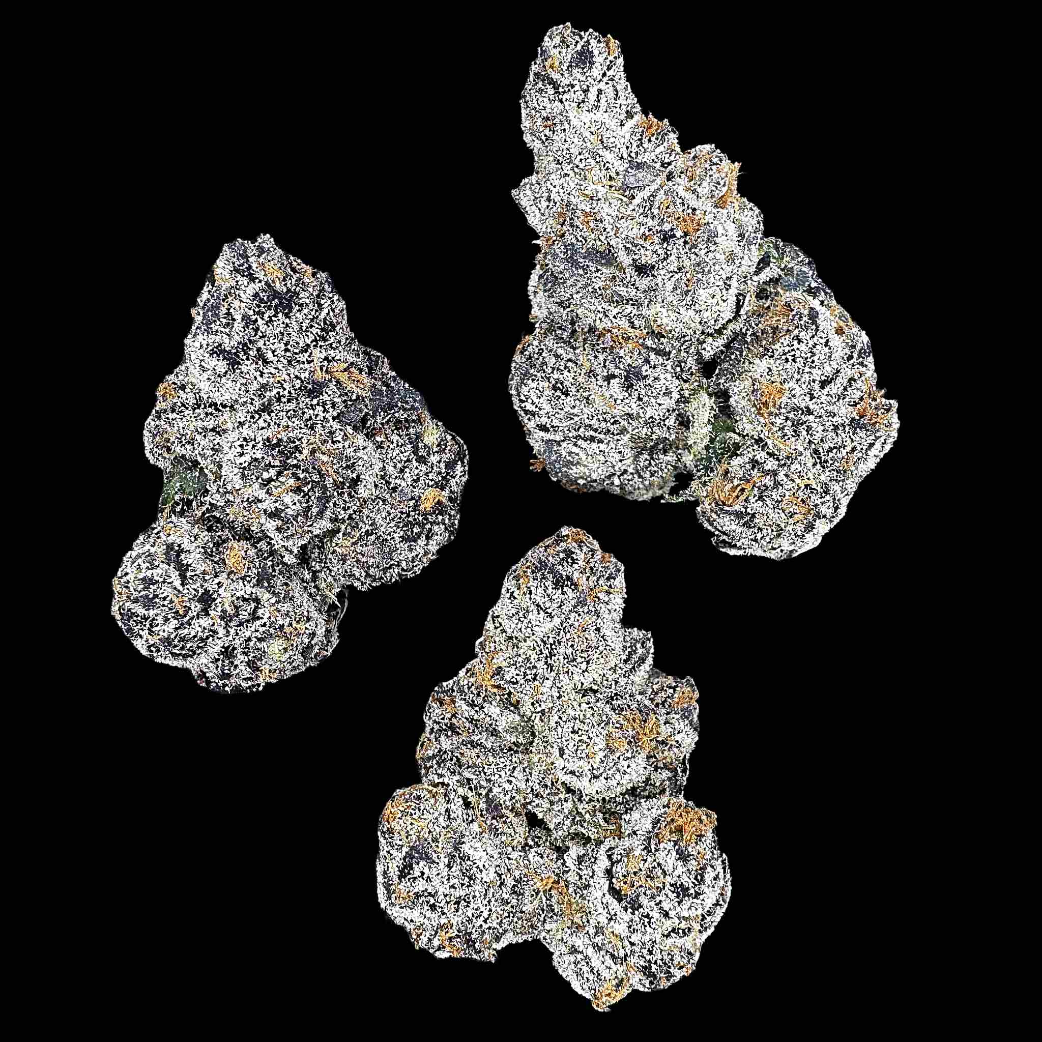 Black Ambrosia (Bulk)