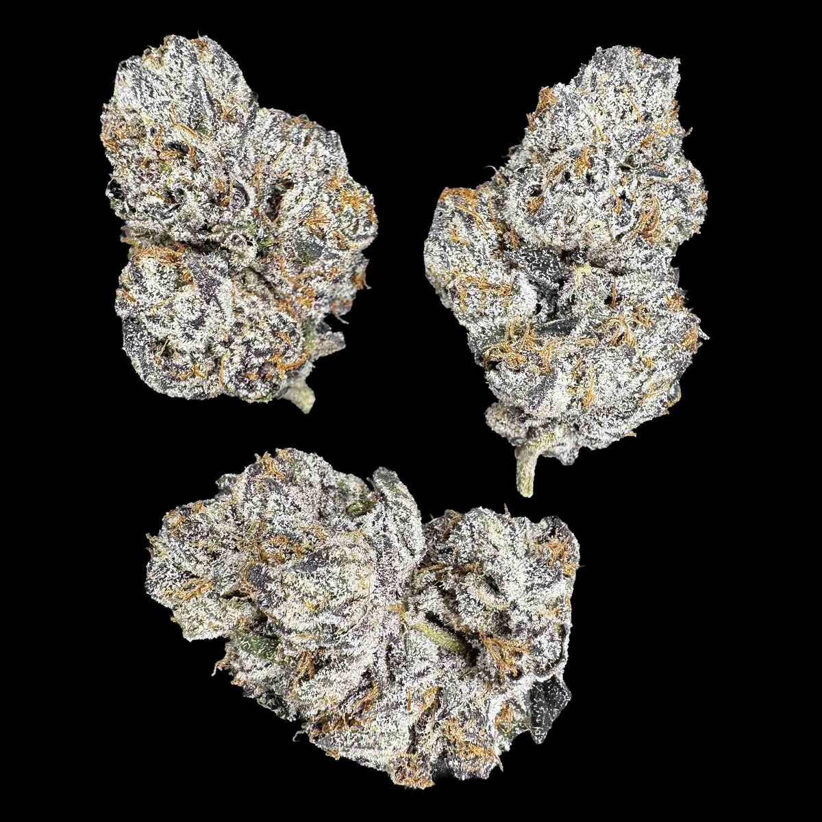 Black Runtz (Bulk)