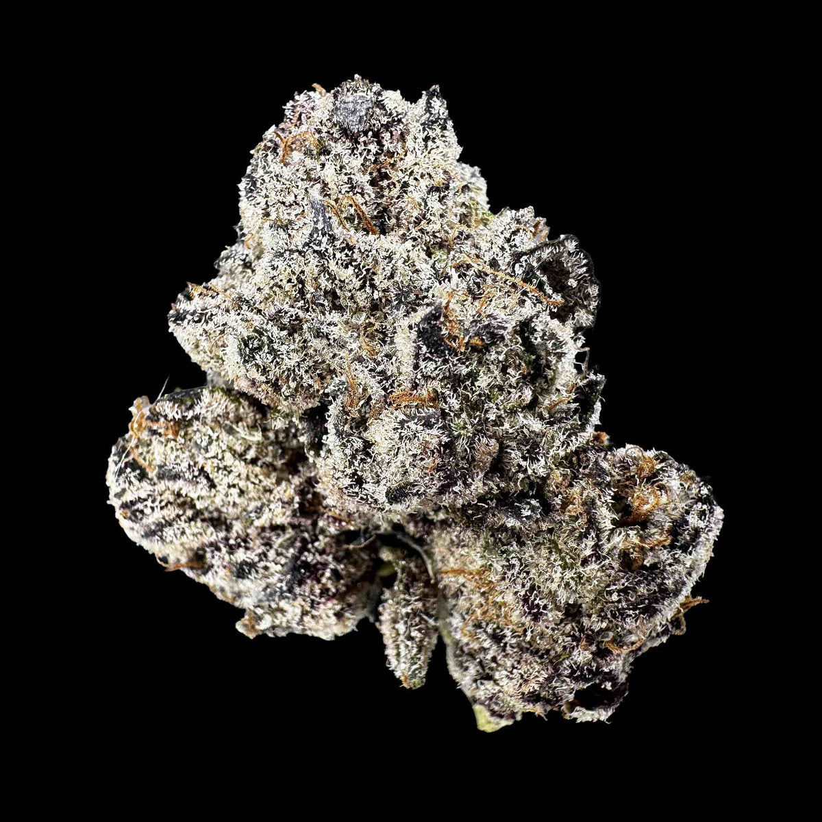 Black Ambrosia (Bulk)