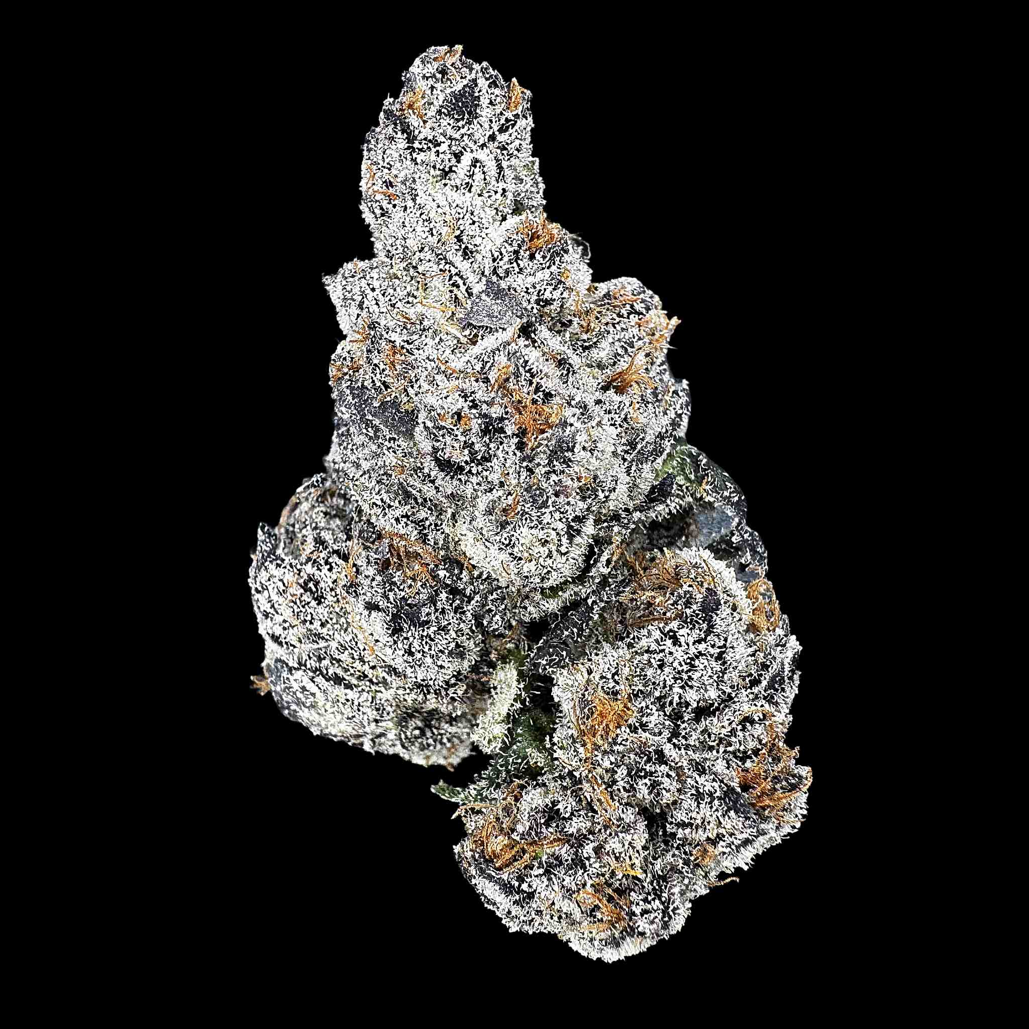 Black Ambrosia (Bulk)
