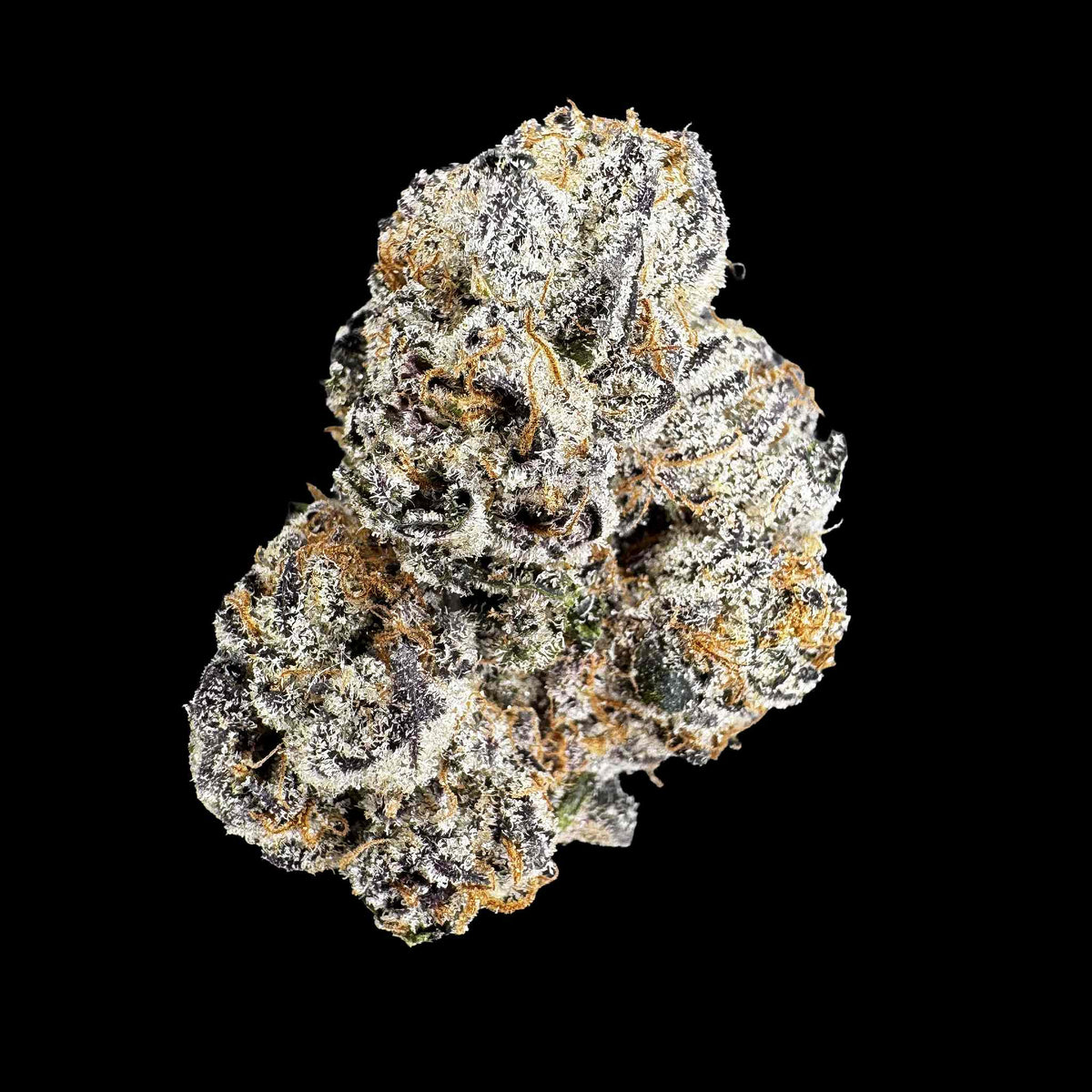 Black Runtz (Bulk)
