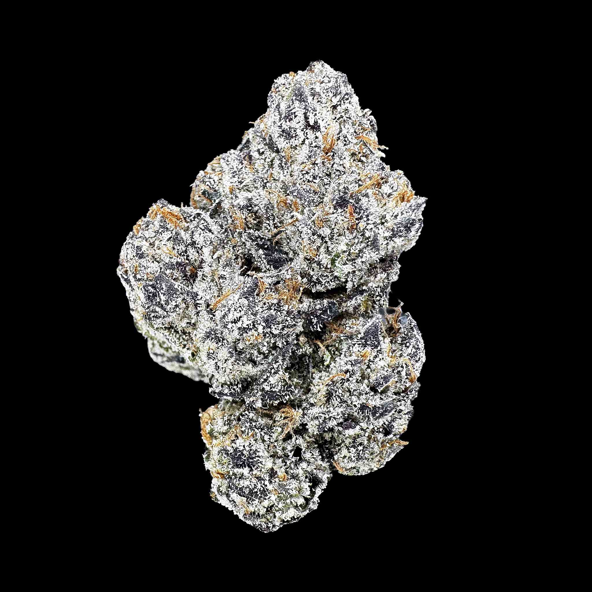 Bubblegum