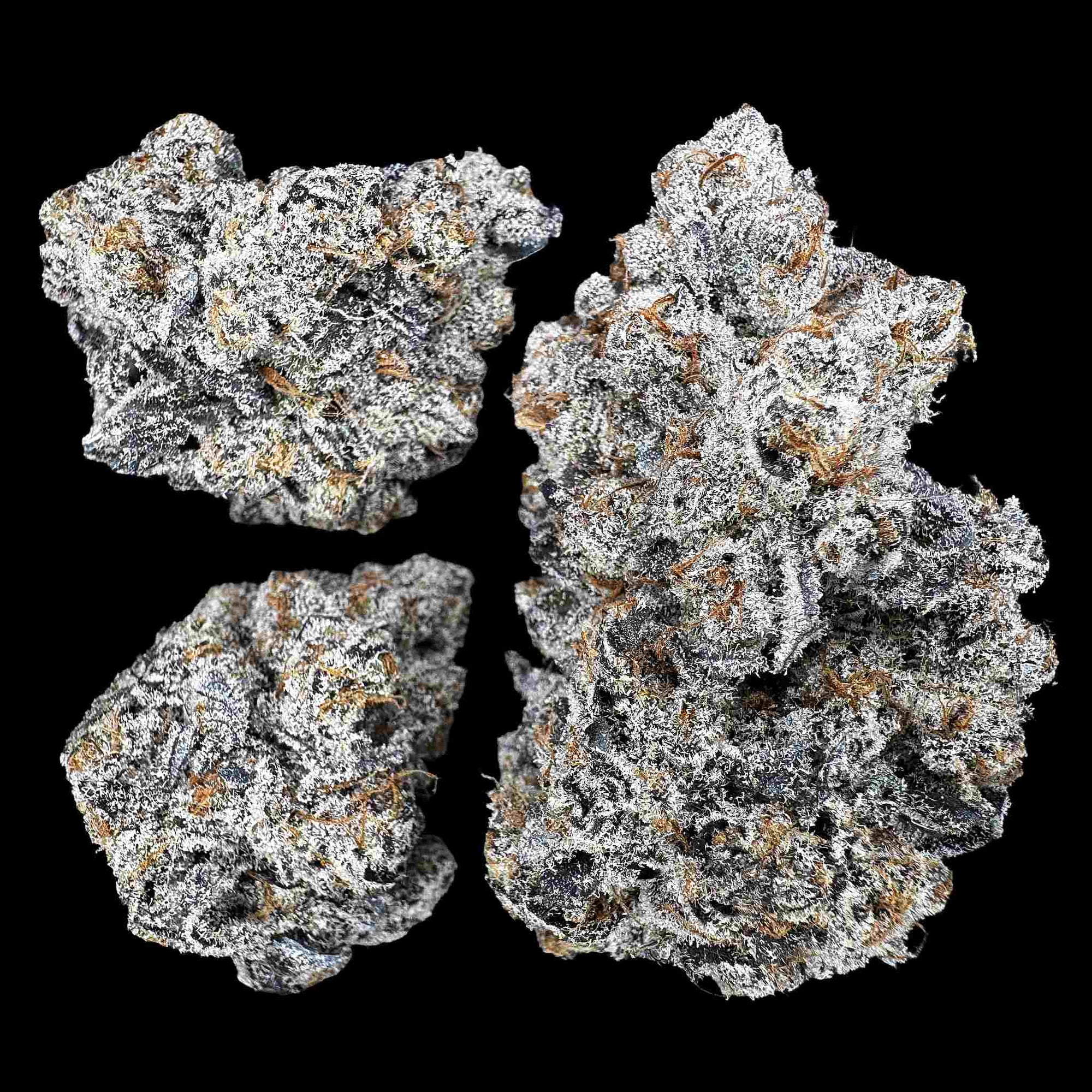 Close up of three dried buds of Candy Flip strain high thca premium top shelf legal weed. Hemp flowers with potent crystals and high terpenes on a black background. The smell is hard candy and skunky fuel.
