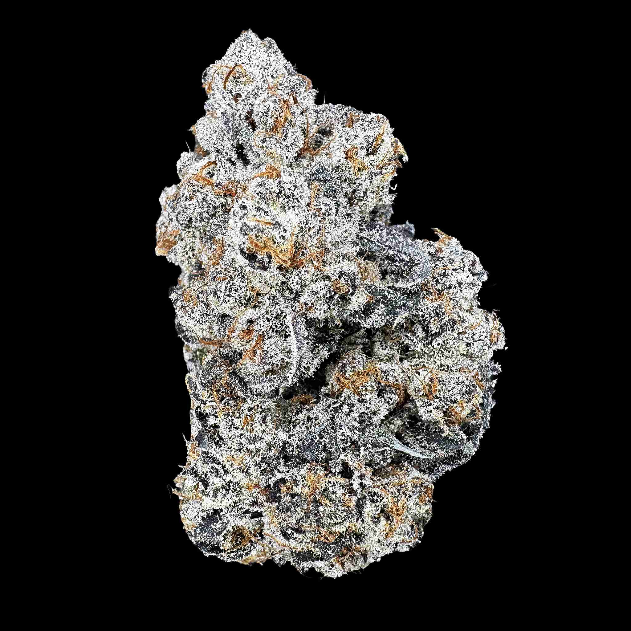 Close up of one dried bud of Candy Flip strain high thca premium top shelf legal weed. A hemp flower with potent crystals and high terpenes on a black background. The smell is hard candy and skunky fuel.