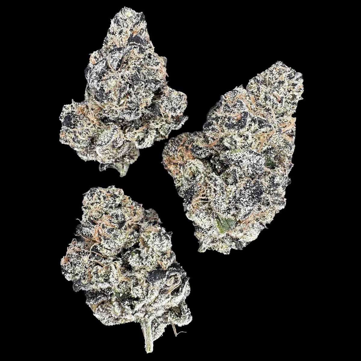 Color Blast (Bulk)