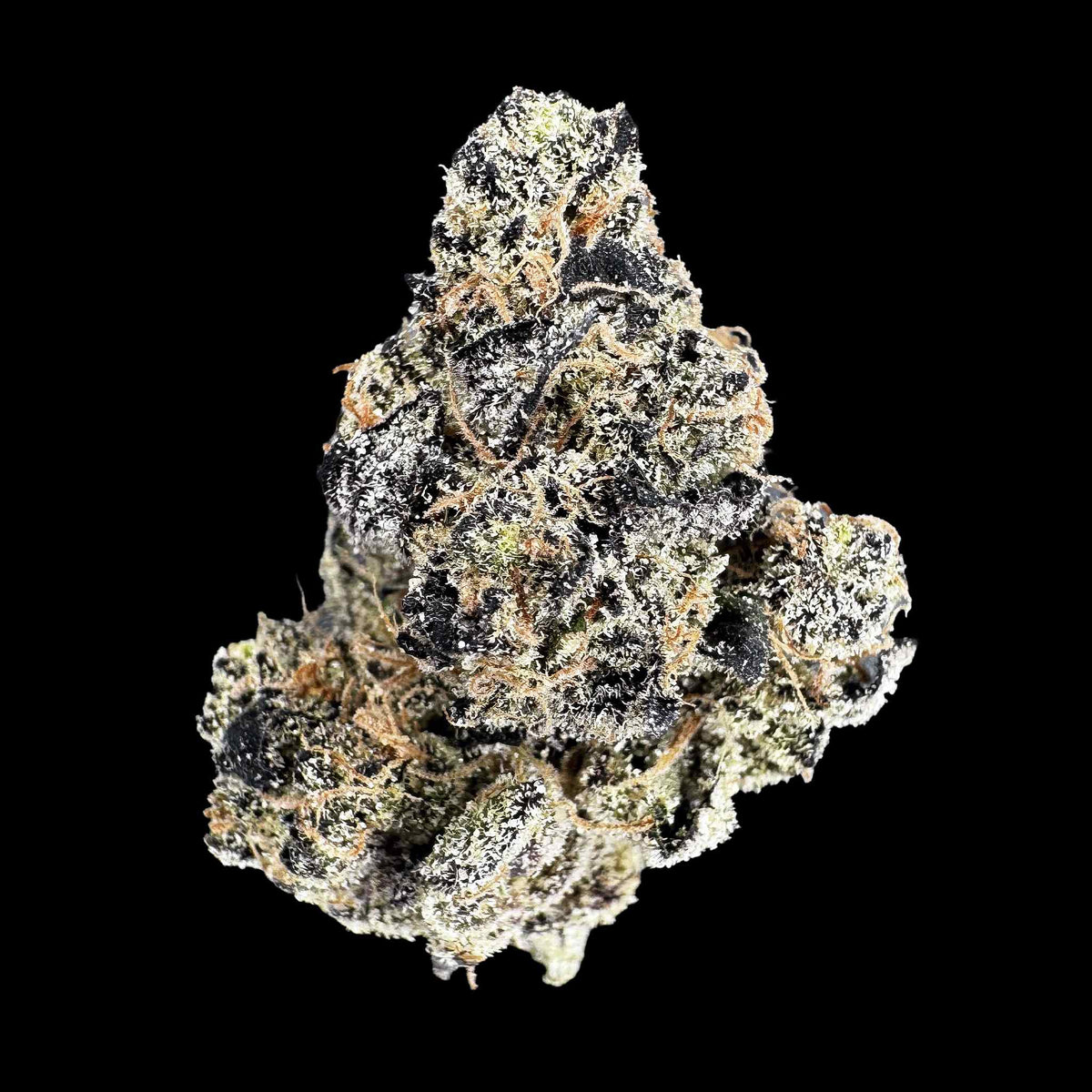 Color Blast (Bulk)