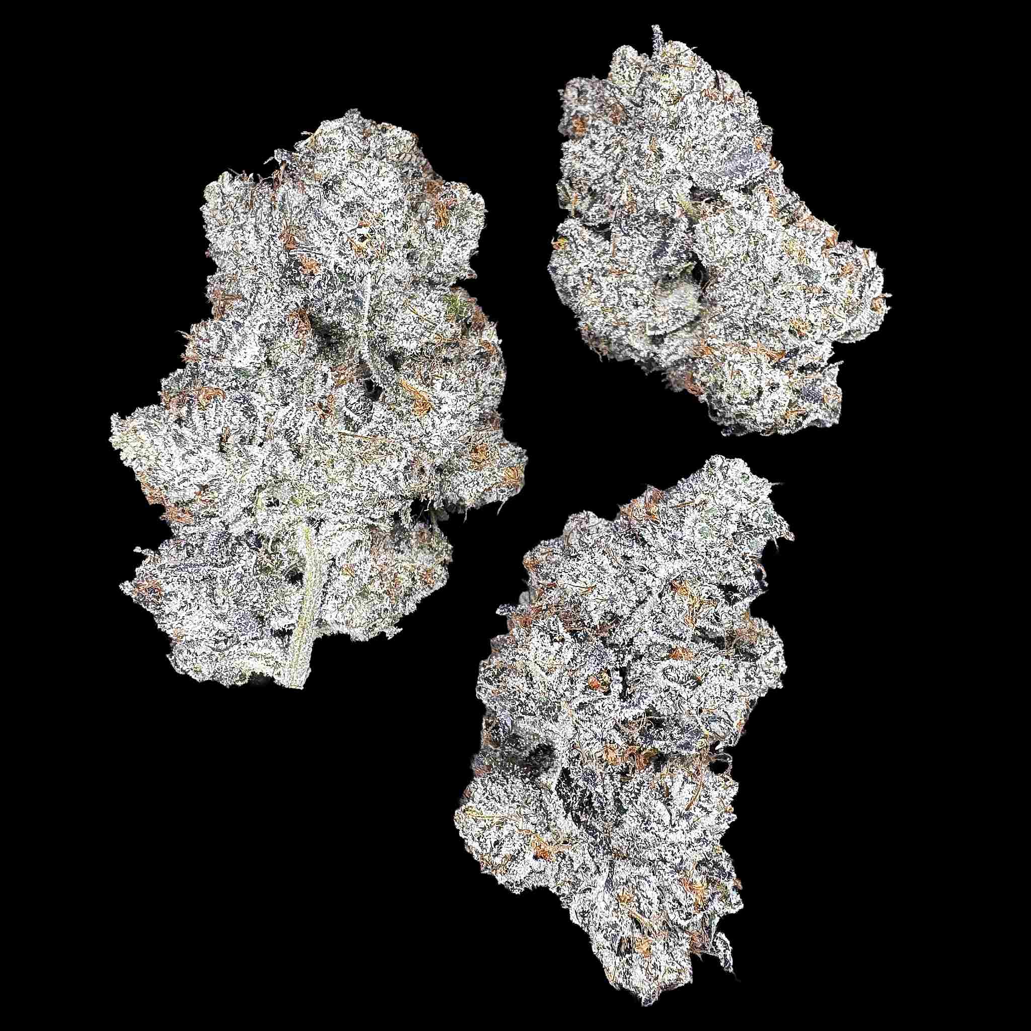 Close up of three high thca dried buds of premium top shelf legal weed hemp flower with potent crystals and high terpenes on a black background. The strain is Frosted Flakes. The smell is very loud gas wrapped in sweet tarts.