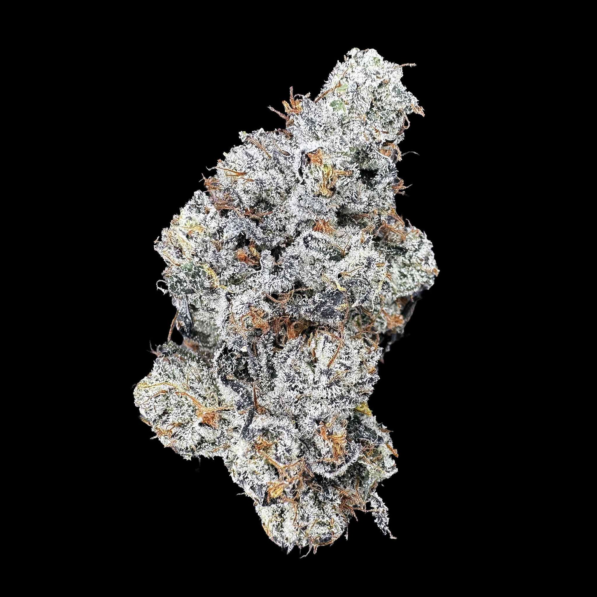 Close up of one dried bud of high thca  premium top shelf legal weed hemp flower with potent crystals and high terpenes on a black background. The strain is Frosted Flakes. Smell is very loud gas wrapped in sweet tarts.