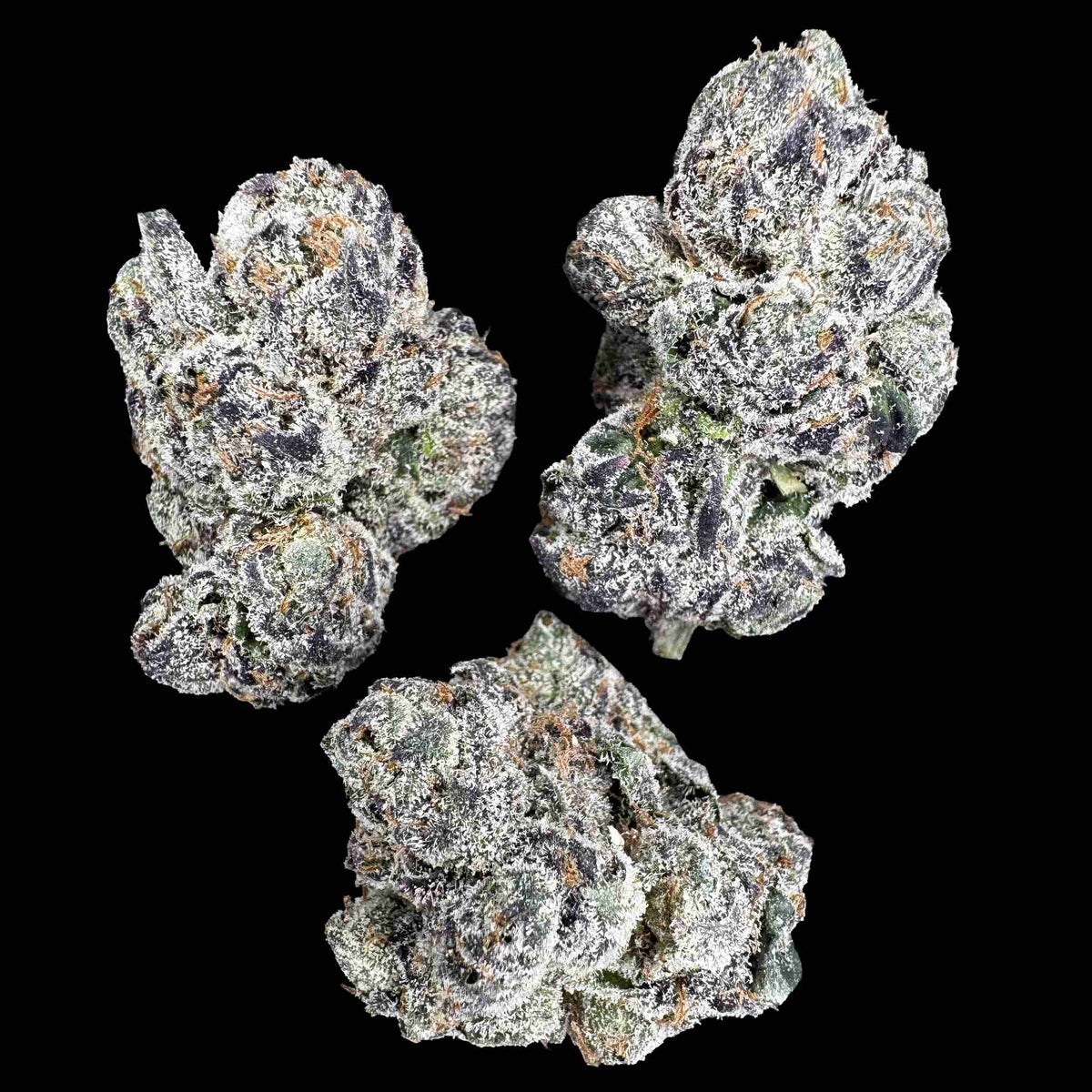 Gelato X (Bulk)