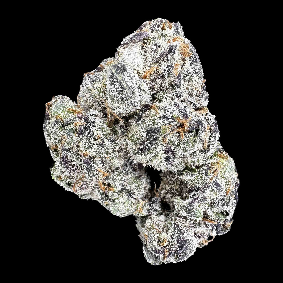 Gelato X (Bulk)