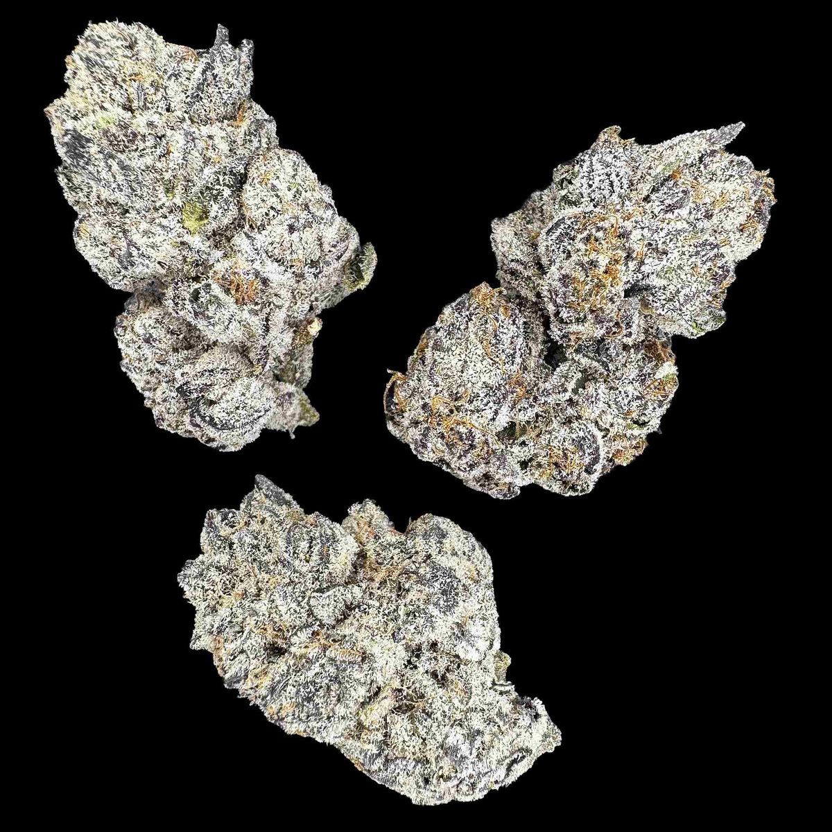 Glitter Bomb (Bulk)