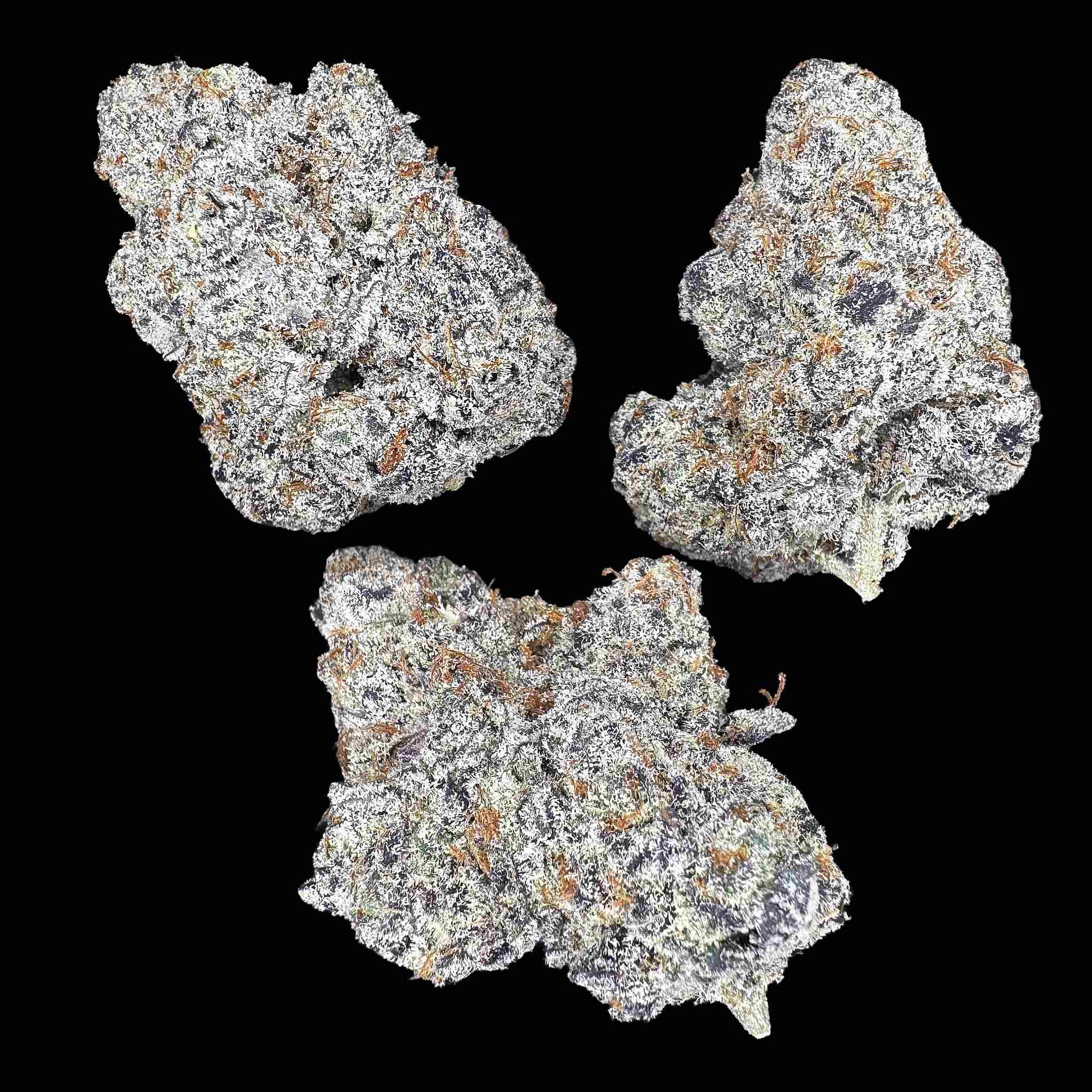 Glitter Bomb (Bulk)