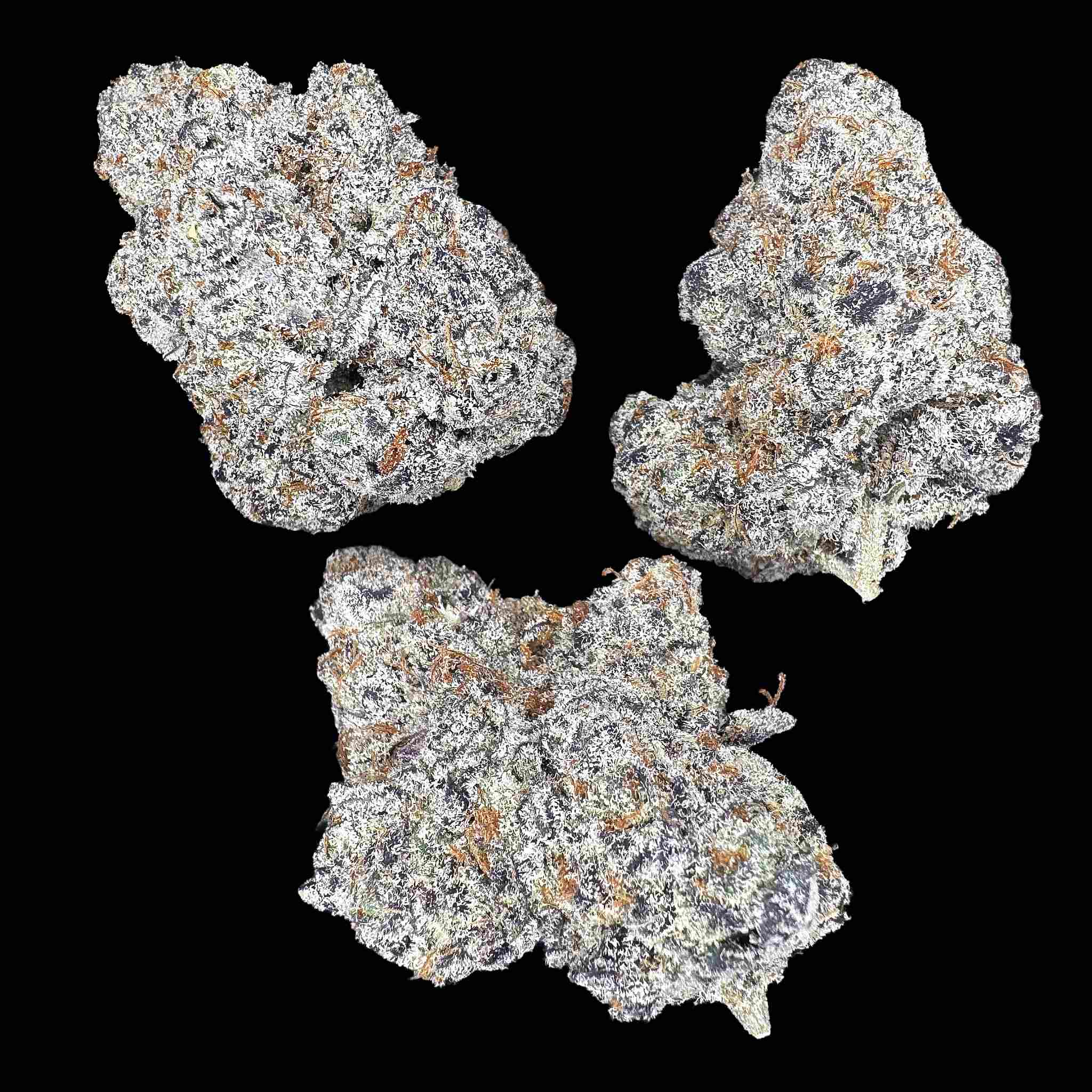 Glitter Bomb (Bulk)