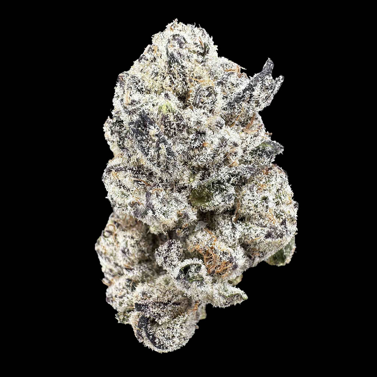 Glitter Bomb (Bulk)