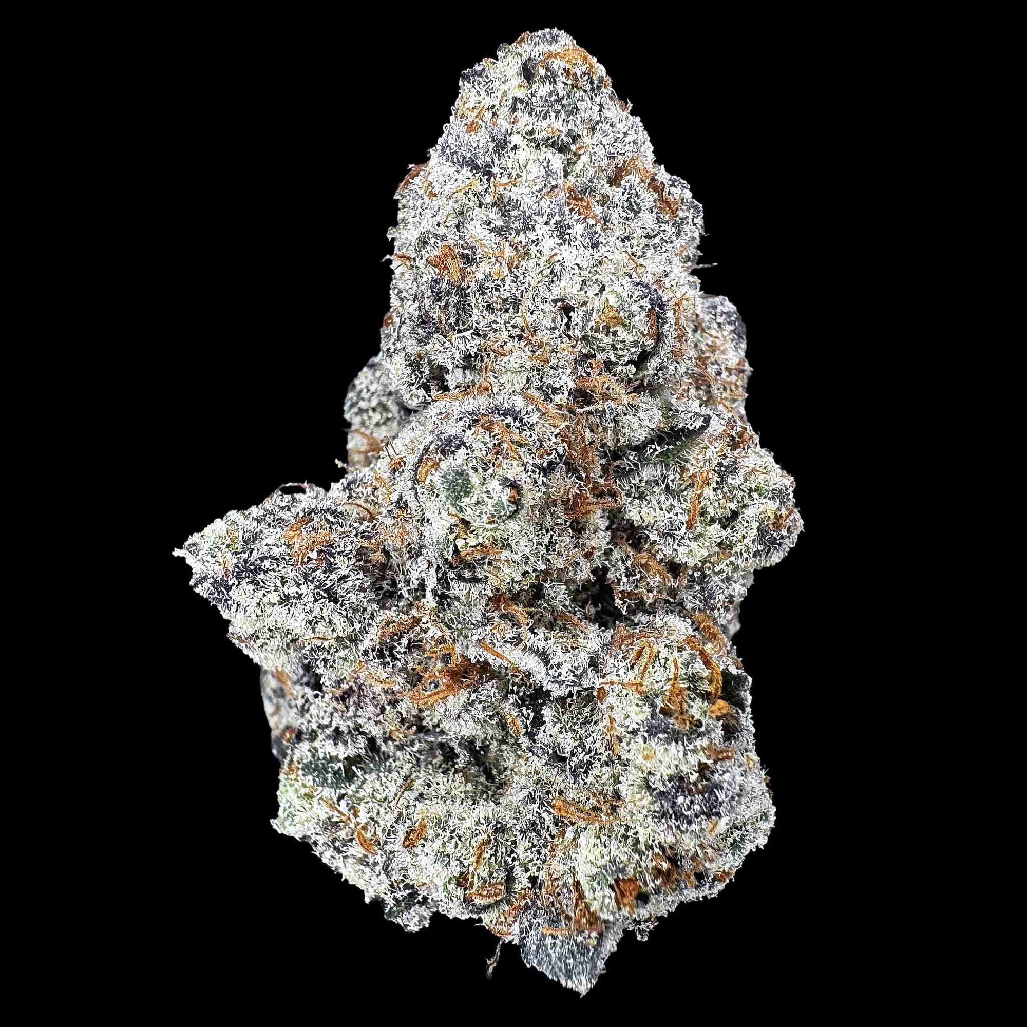 Glitter Bomb (Bulk)
