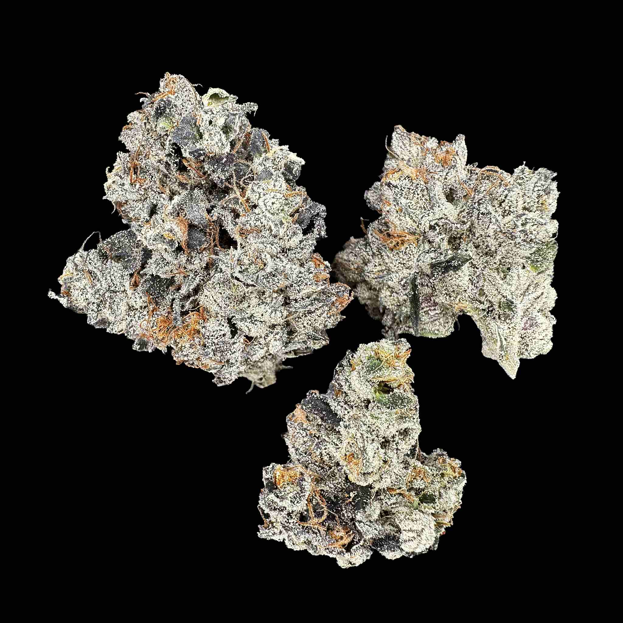 Close up of three high thca dried buds of premium top shelf legal weed hemp flower with potent crystals and high terpenes on a black background. The strain is Goofiez. It has a gassy loud sour diesel style nose.