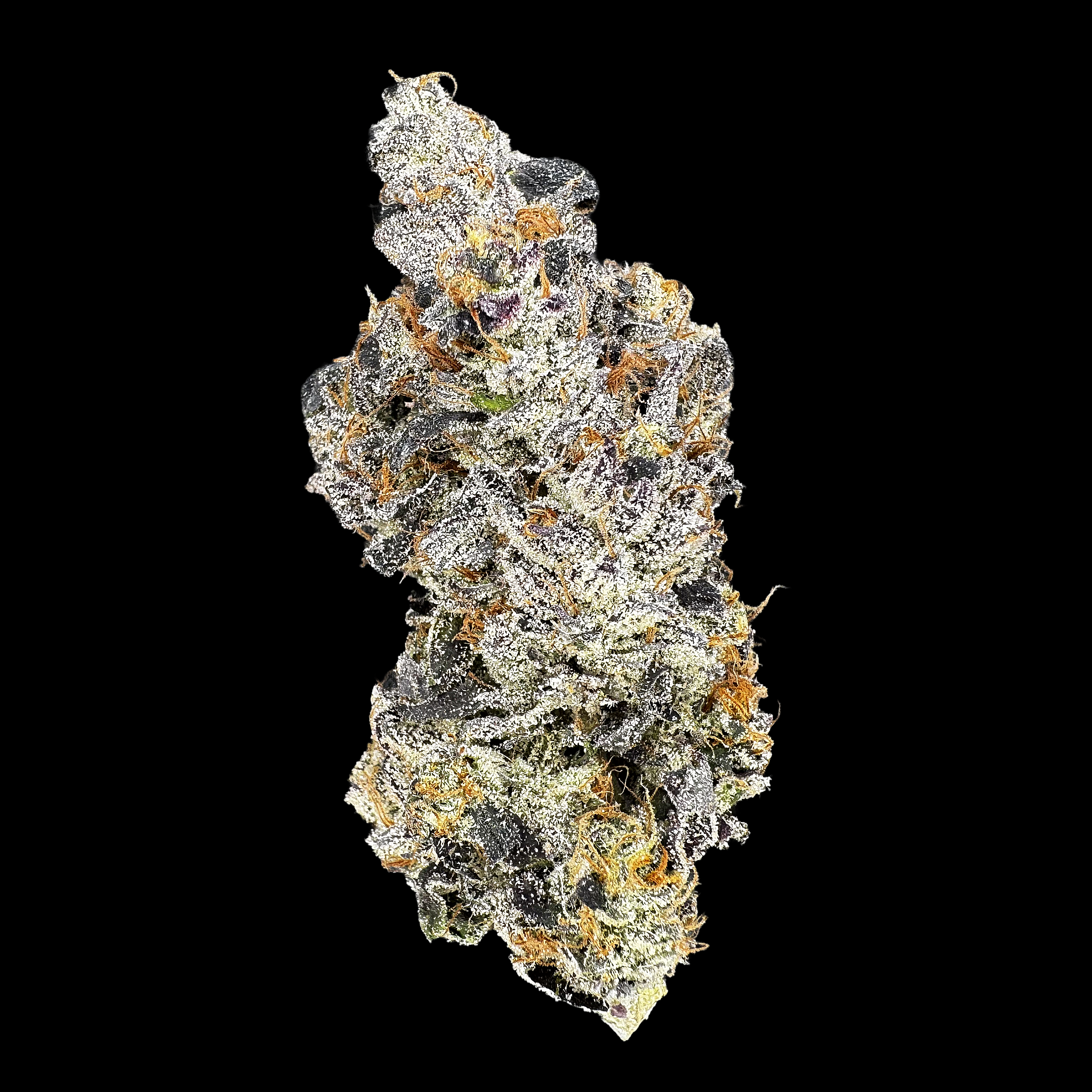 Close up of one dried bud of high thca  premium top shelf legal weed hemp flower with potent crystals and high terpenes on a black background. The strain is Goofiez. It has a gassy loud sour diesel style nose.