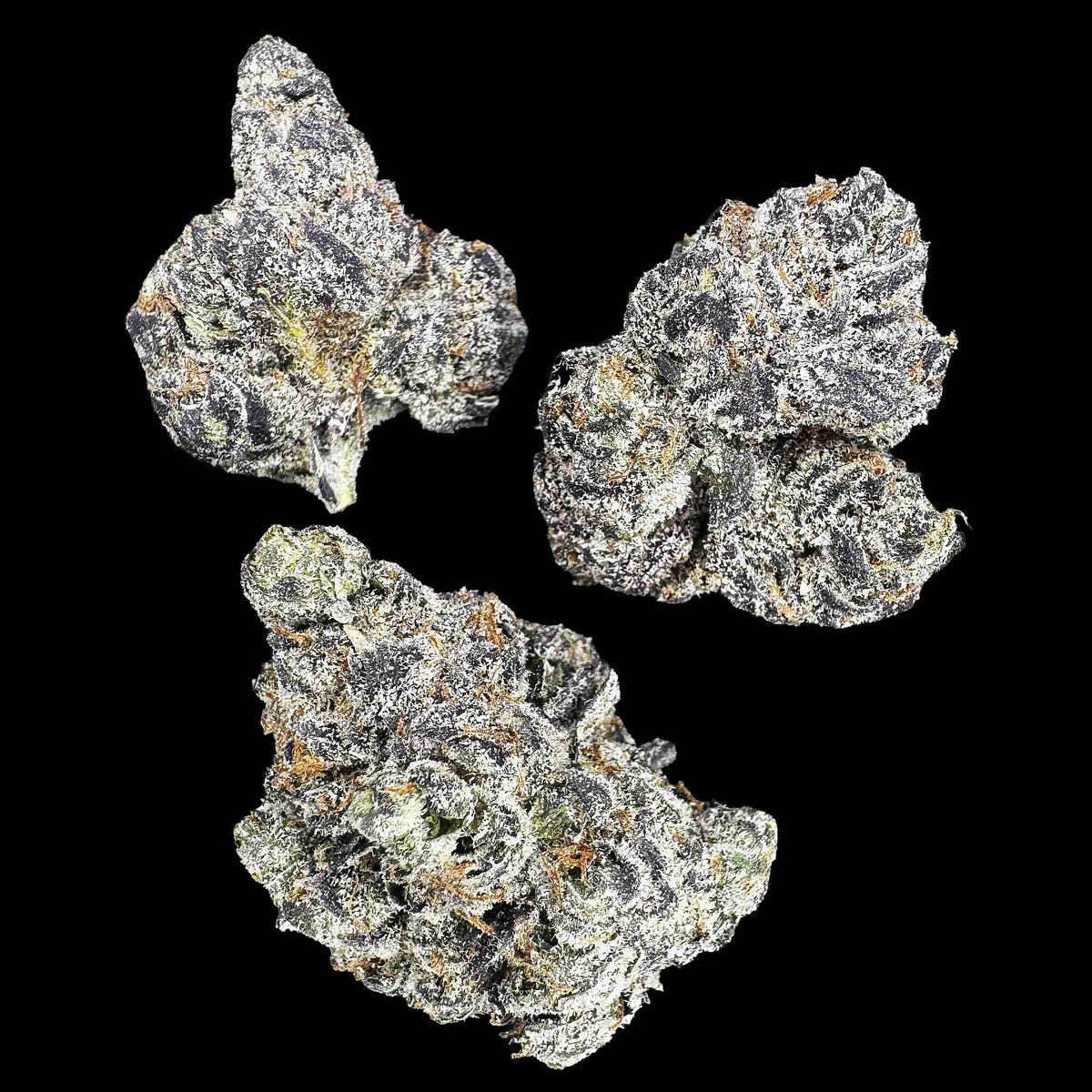 Snow Runtz (Bulk)