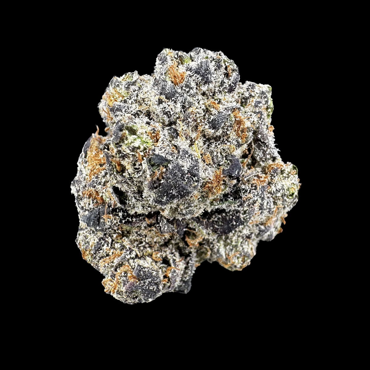 Snow Runtz (Bulk)