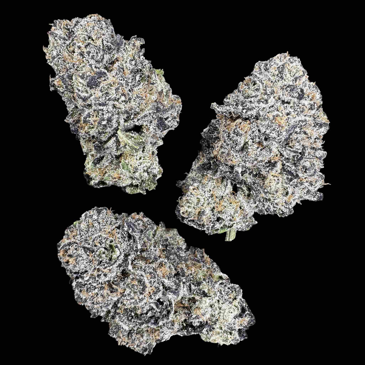 Hash Burger (Bulk)