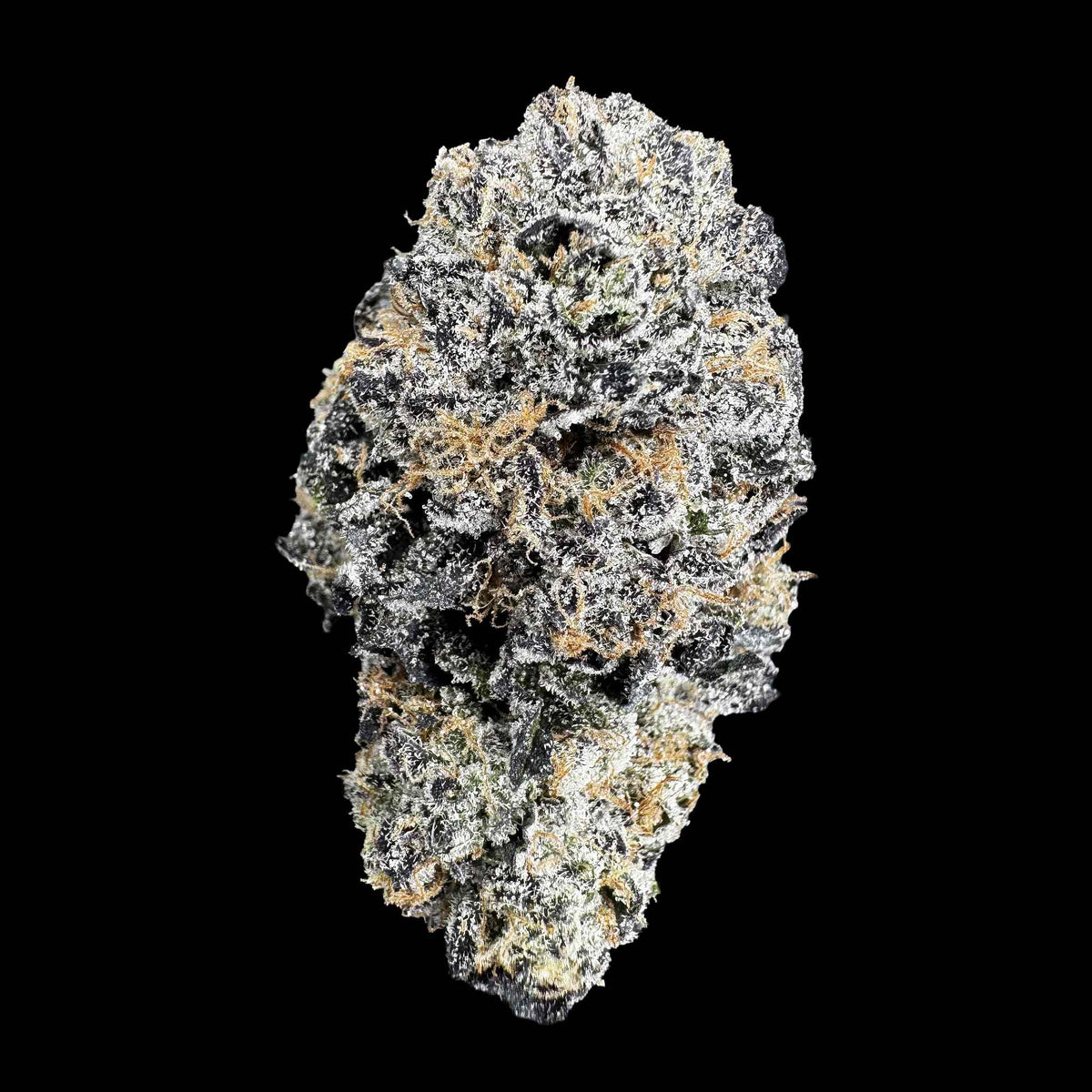 Hash Burger (Bulk)