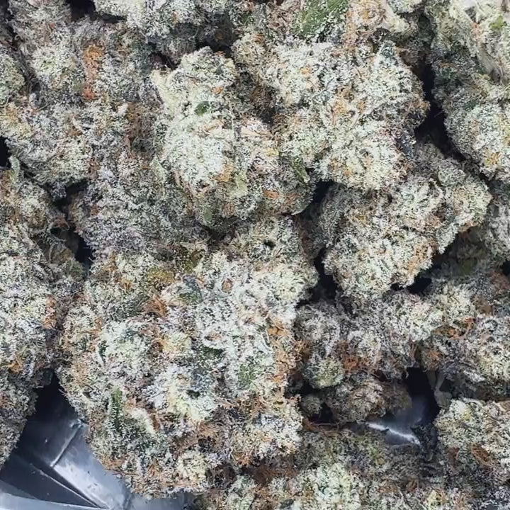 Video of close up of a bulk pound of high thca dried buds of premium top shelf legal weed hemp flower with potent crystals and high terpenes in a turkey bag. The strain is Frosted Flakes. The smell is very loud gas wrapped in sweet tarts.
