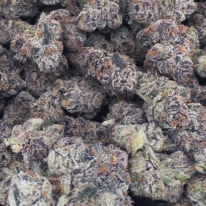 video of bulk thca hemp flower. Boutique premium exotic legal weed black ambrosia strain for sale.
