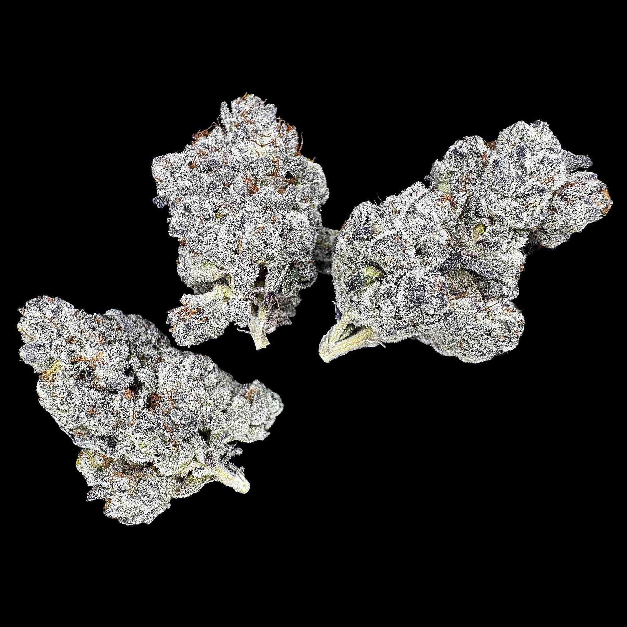 Close up of three dried buds of Sherbanger strain high thca premium top shelf legal weed. A hemp flower with potent crystals and high terpenes on a black background. The smell is sour patch strips wrapped in a creamy cloud.
