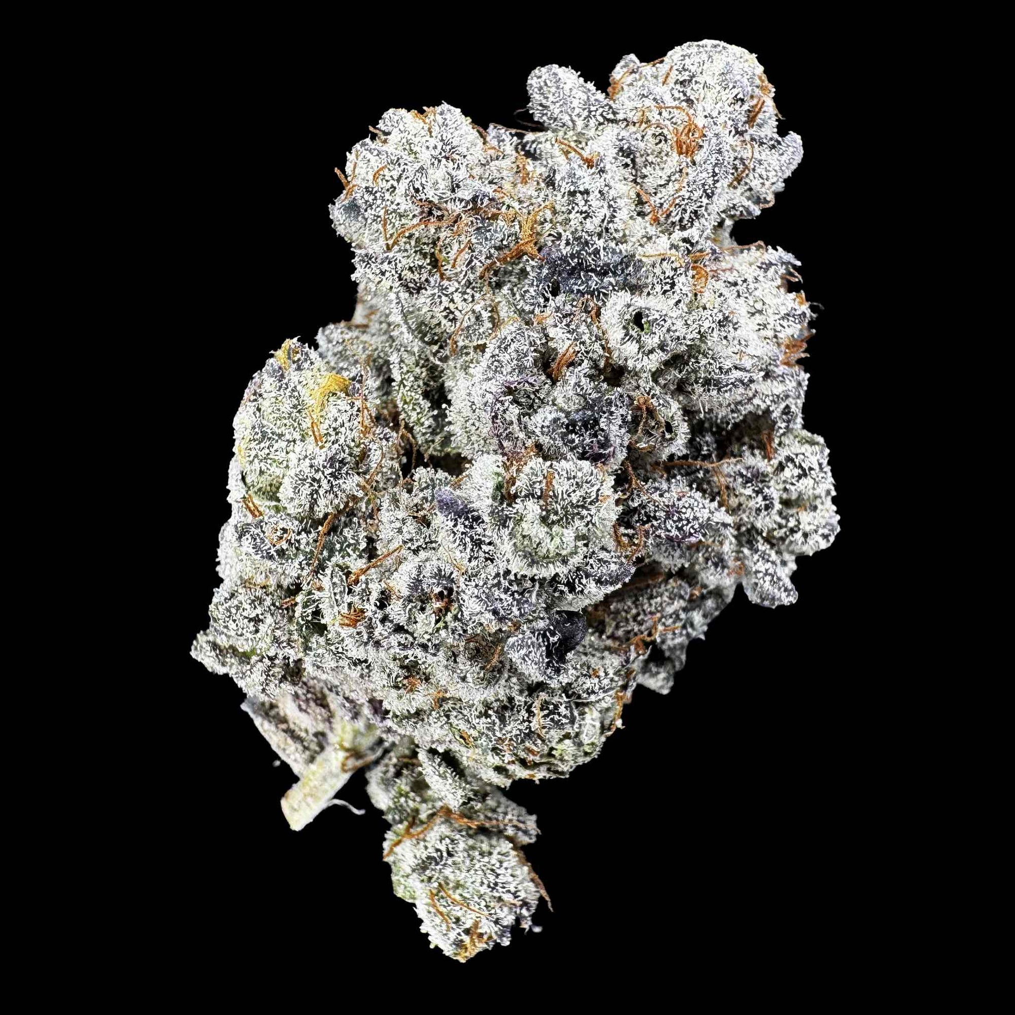 Close up of one dried bud of Sherbanger strain high thca premium top shelf legal weed. A hemp flower with potent crystals and high terpenes on a black background. The smell is sour patch strips wrapped in a creamy cloud.