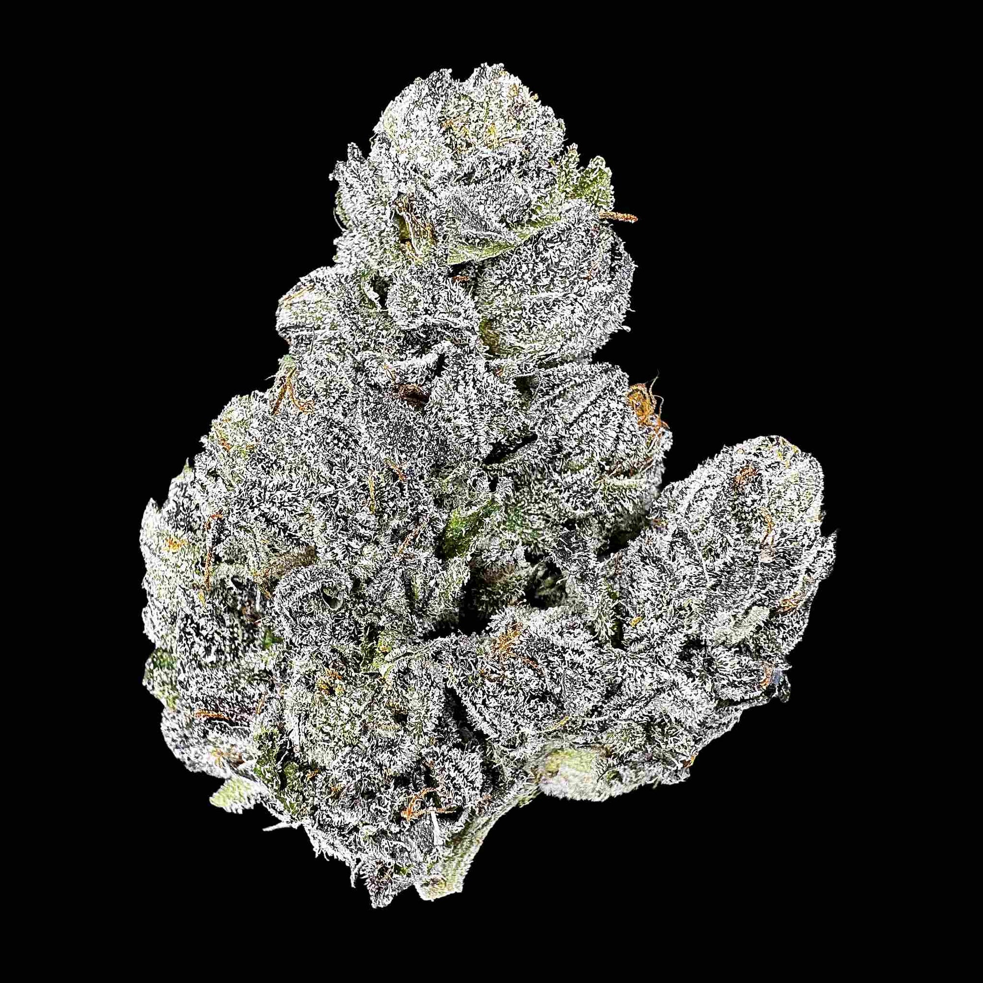 Close up of one dried bud of Snow Runtz strain high thca premium top shelf legal weed. A hemp flower with potent crystals and high terpenes on a black background. The smell Trolli sour brite crawlers swimming in gas.