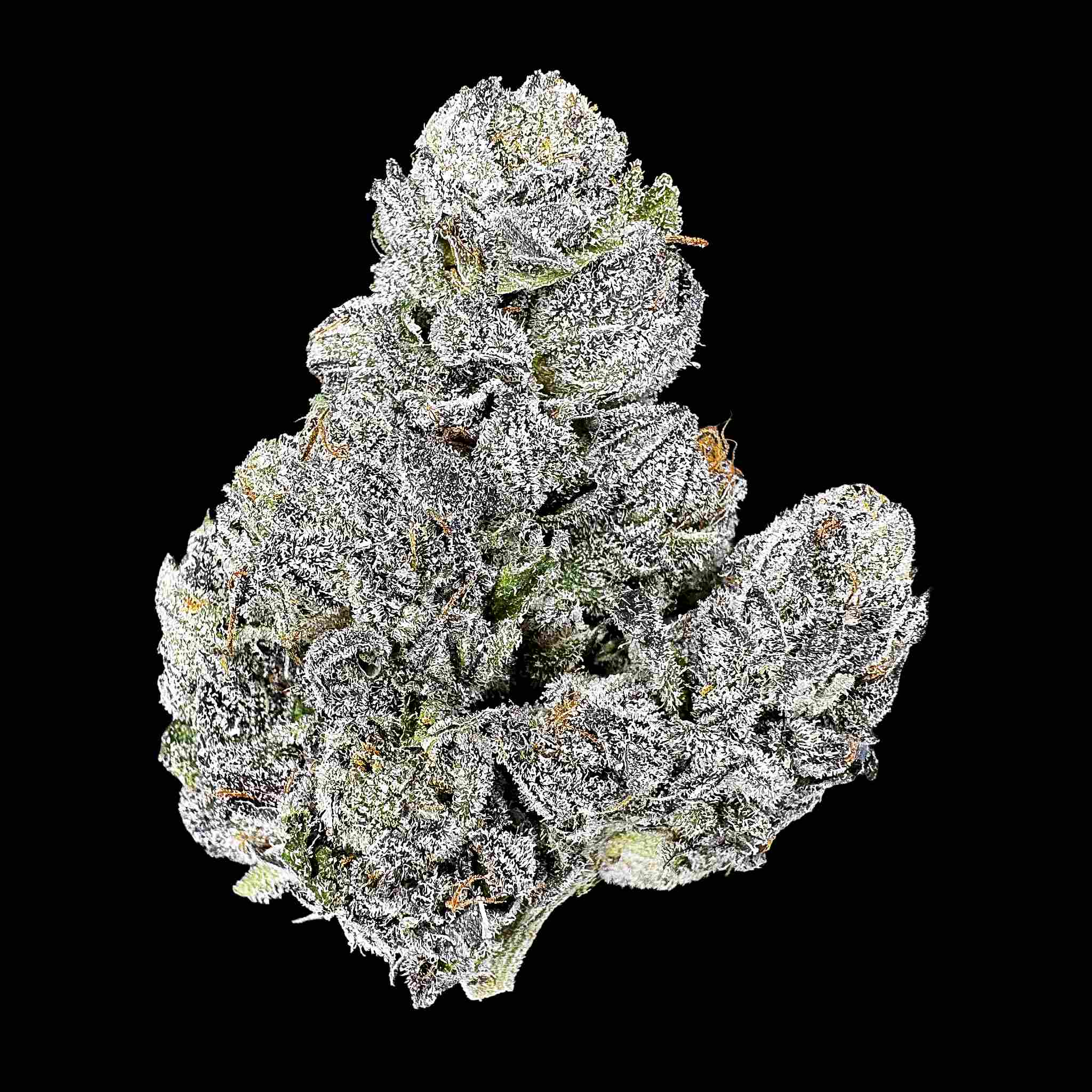 Close up of one dried bud of Snow Runtz strain high thca premium top shelf legal weed. A hemp flower with potent crystals and high terpenes on a black background. The smell Trolli sour brite crawlers swimming in gas.