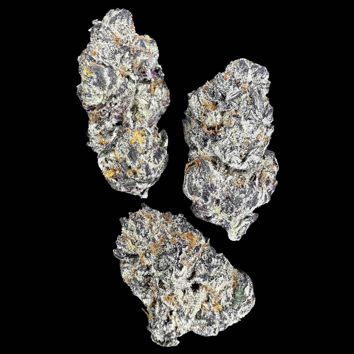 Sugar Factory (Bulk)