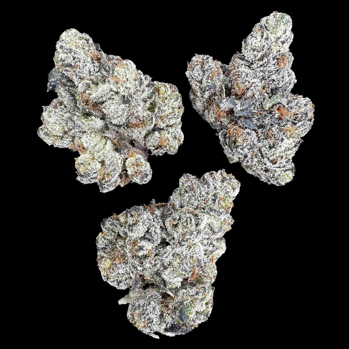 Sugar Lips (Bulk)