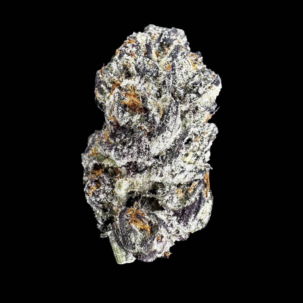 Sugar Factory (Bulk)
