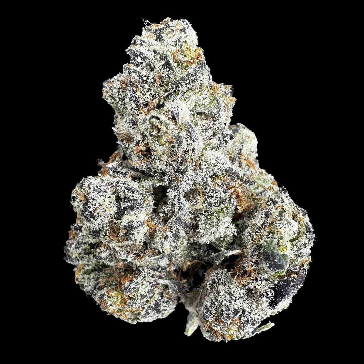 Sugar Lips (Bulk)