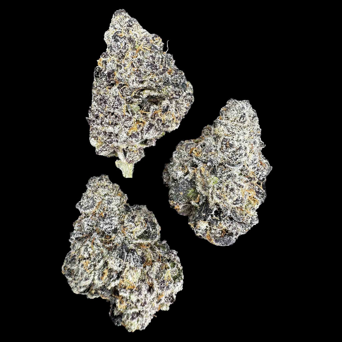 Zangria (Bulk)
