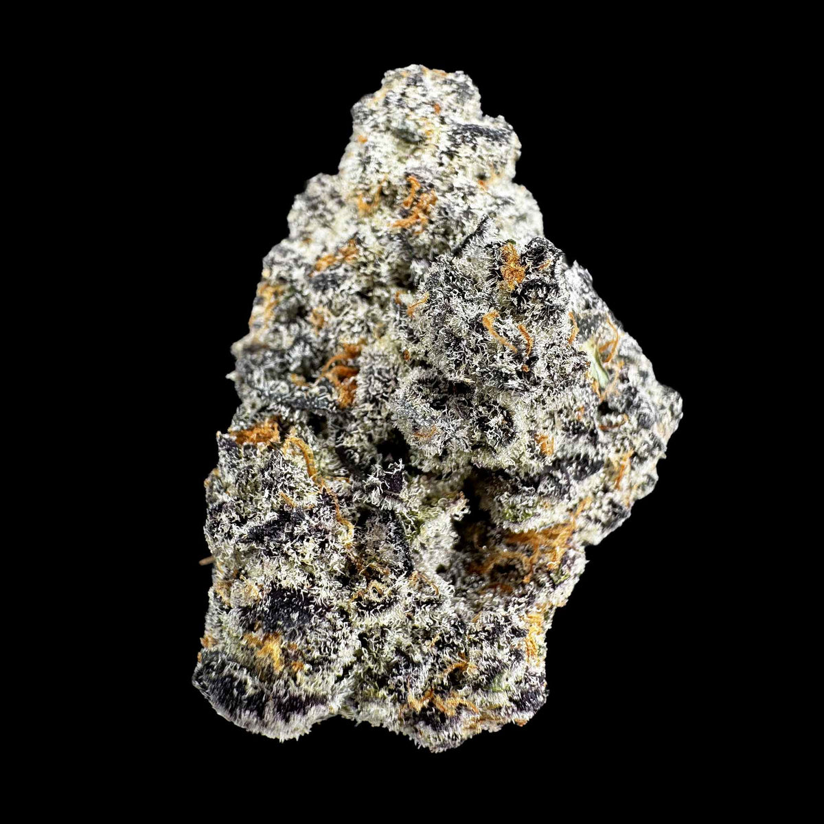 Zangria (Bulk)